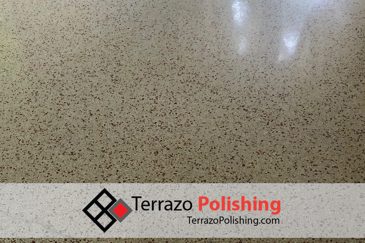 Terrazzo Floor Removal Service Broward